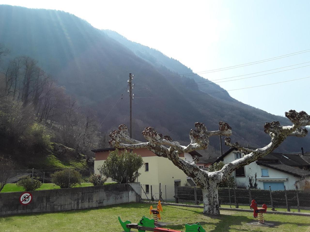 Holidays Homes Il Folletto Quartino Dış mekan fotoğraf